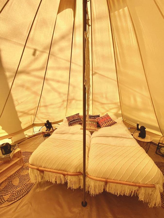 Amani - Aap Campismo de Luxo Lichtaart